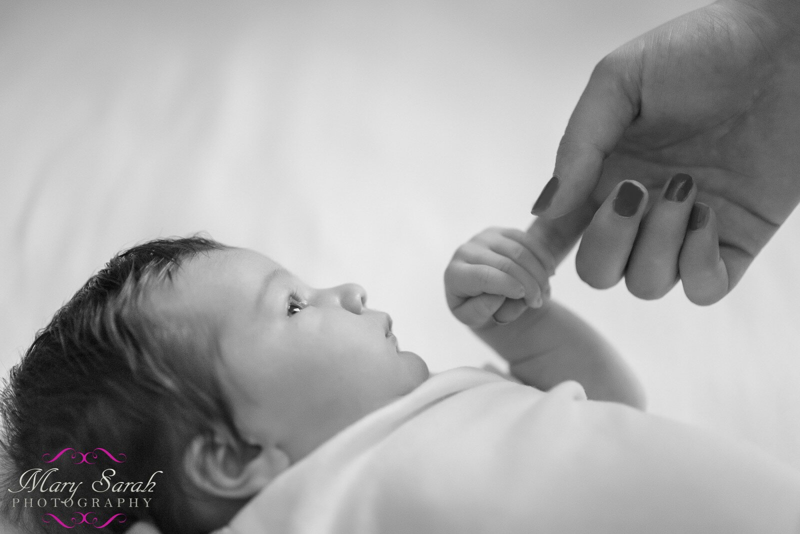 Frederick Newborn Photographer (11 of 32)