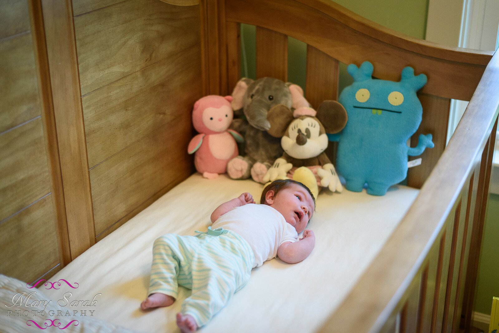 Frederick Newborn Photographer (9 of 32)